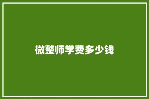 微整师学费多少钱 英文简历