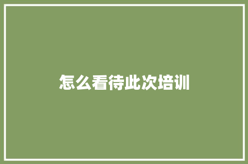 怎么看待此次培训 教育论文