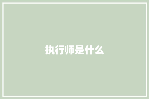 执行师是什么 办公写作