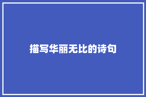 描写华丽无比的诗句 公证书