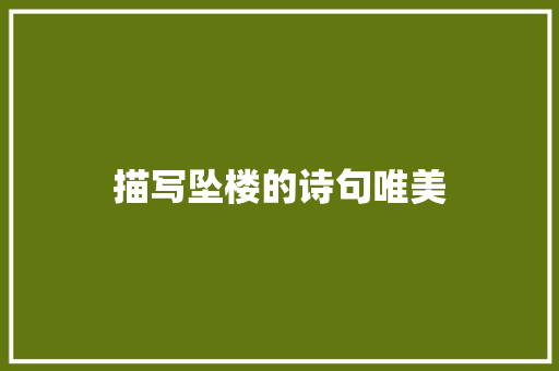描写坠楼的诗句唯美 英文简历