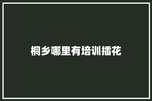 桐乡哪里有培训插花 策划方案