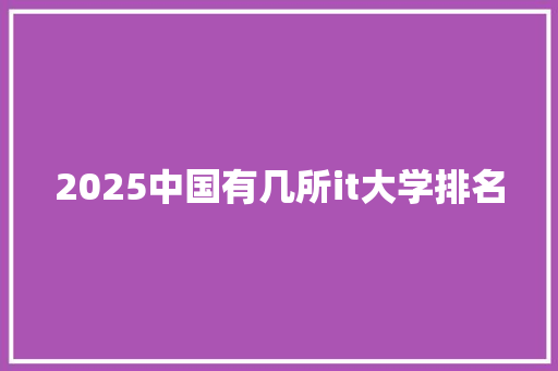 2025中国有几所it大学排名 简历