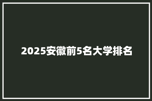 2025安徽前5名大学排名 个人简历