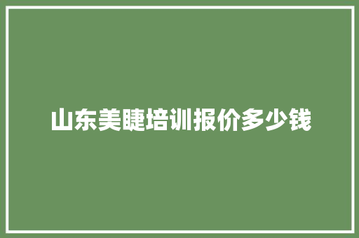 山东美睫培训报价多少钱 办公写作