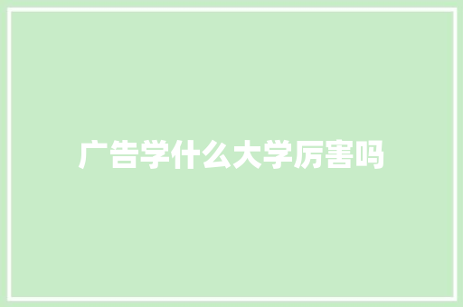 广告学什么大学厉害吗 文秘写作