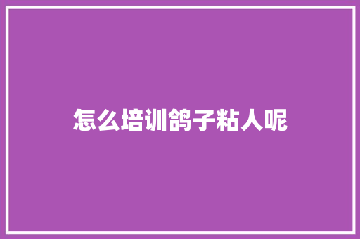 怎么培训鸽子粘人呢 英文简历