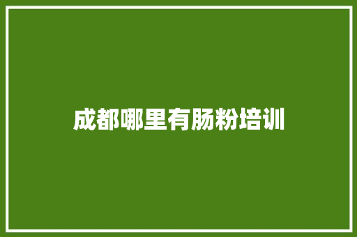 成都哪里有肠粉培训 条剧书信