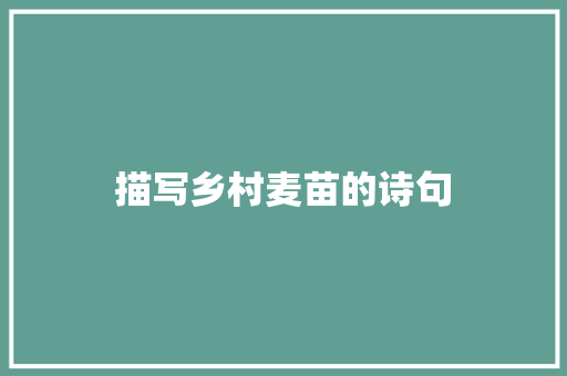 描写乡村麦苗的诗句 管理论文