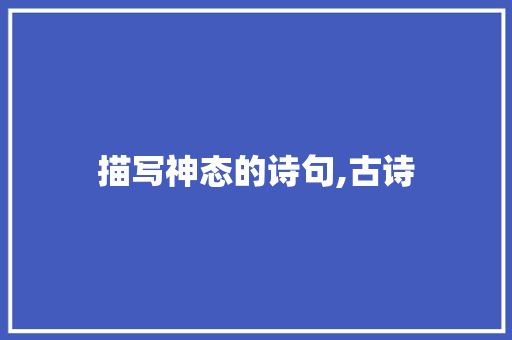 描写神态的诗句,古诗 面试技巧