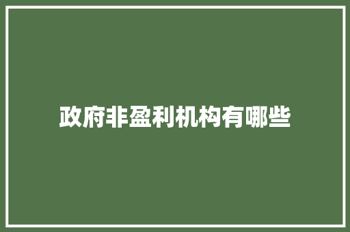 政府非盈利机构有哪些 策划方案