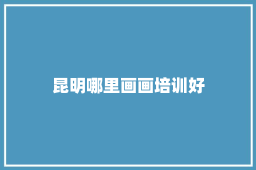 昆明哪里画画培训好 个人简历