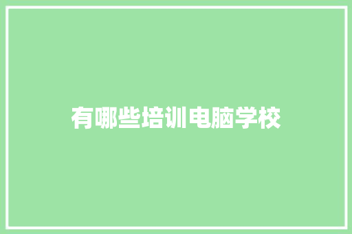 有哪些培训电脑学校 条剧书信