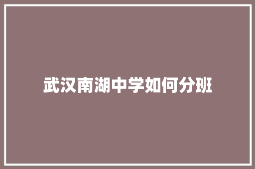 武汉南湖中学如何分班 计算机论文