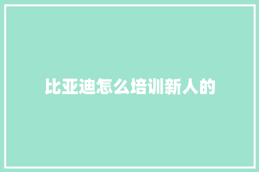 比亚迪怎么培训新人的 简历