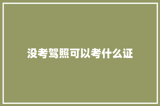 没考驾照可以考什么证 教育论文