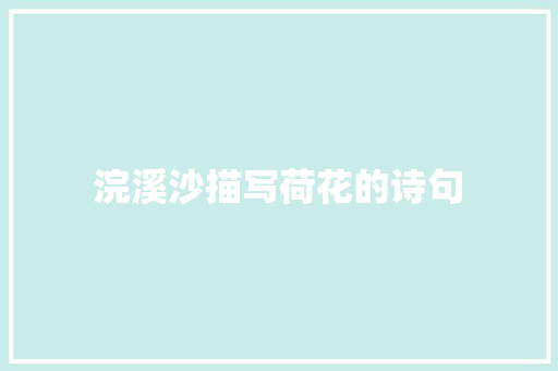 浣溪沙描写荷花的诗句 担保书