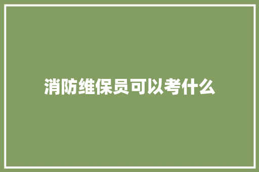 消防维保员可以考什么 论文