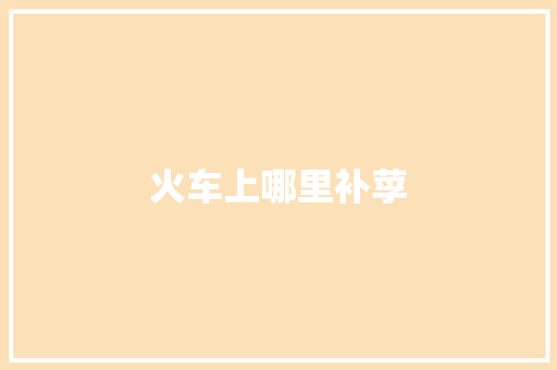 火车上哪里补莩 承诺书