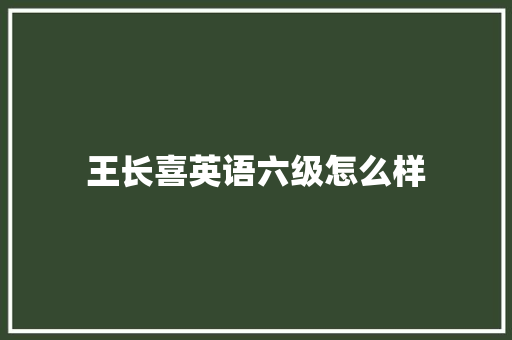 王长喜英语六级怎么样 社会论文