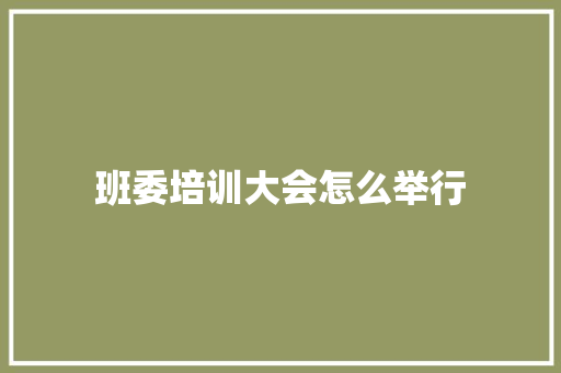 班委培训大会怎么举行 计算机论文