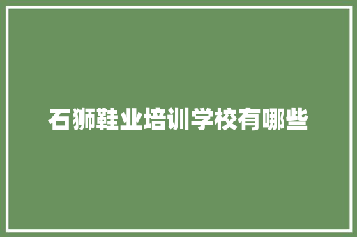 石狮鞋业培训学校有哪些 担保书