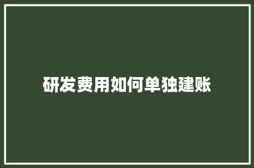 研发费用如何单独建账 个人写作