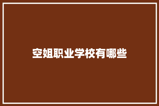 空姐职业学校有哪些 个人写作