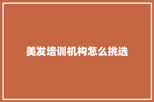 美发培训机构怎么挑选 计算机论文