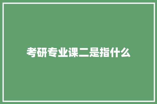 考研专业课二是指什么 简历