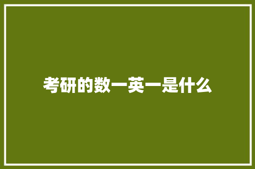考研的数一英一是什么 简历资料