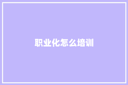 职业化怎么培训 计算机论文
