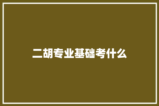 二胡专业基础考什么 公证书
