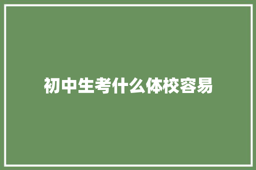 初中生考什么体校容易 管理论文