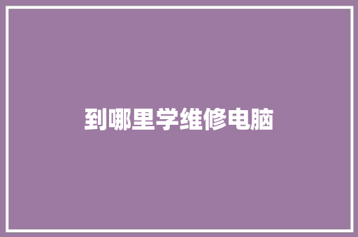 到哪里学维修电脑 策划方案