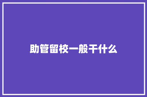 助管留校一般干什么 计算机论文