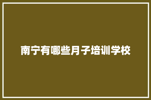 南宁有哪些月子培训学校 简历资料
