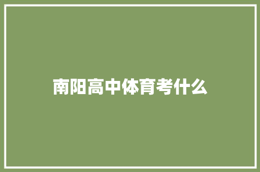 南阳高中体育考什么 社会论文
