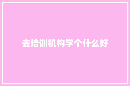 去培训机构学个什么好 个人写作