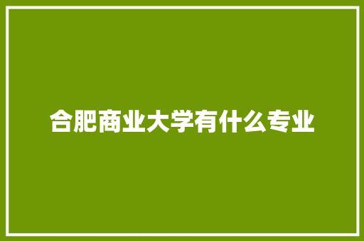 合肥商业大学有什么专业 简历
