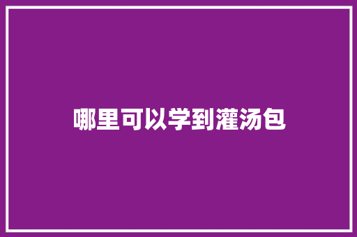哪里可以学到灌汤包 毕业设计