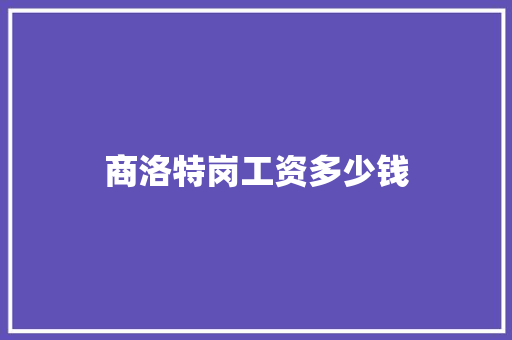 商洛特岗工资多少钱 个人写作