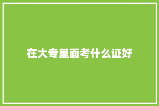 在大专里面考什么证好 社会论文