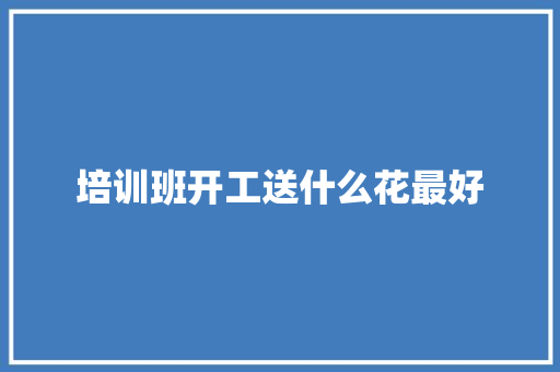 培训班开工送什么花最好 个人写作
