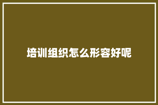 培训组织怎么形容好呢 英文简历
