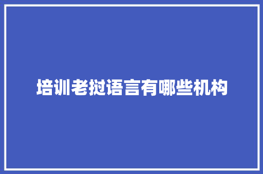 培训老挝语言有哪些机构 教育论文