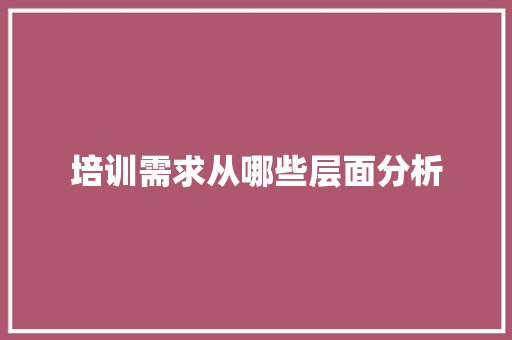 培训需求从哪些层面分析 计算机论文