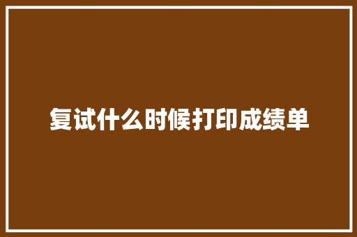 复试什么时候打印成绩单 计算机论文