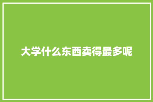 大学什么东西卖得最多呢 毕业设计