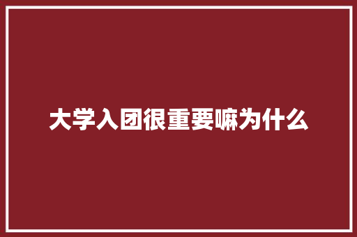 大学入团很重要嘛为什么 社会论文